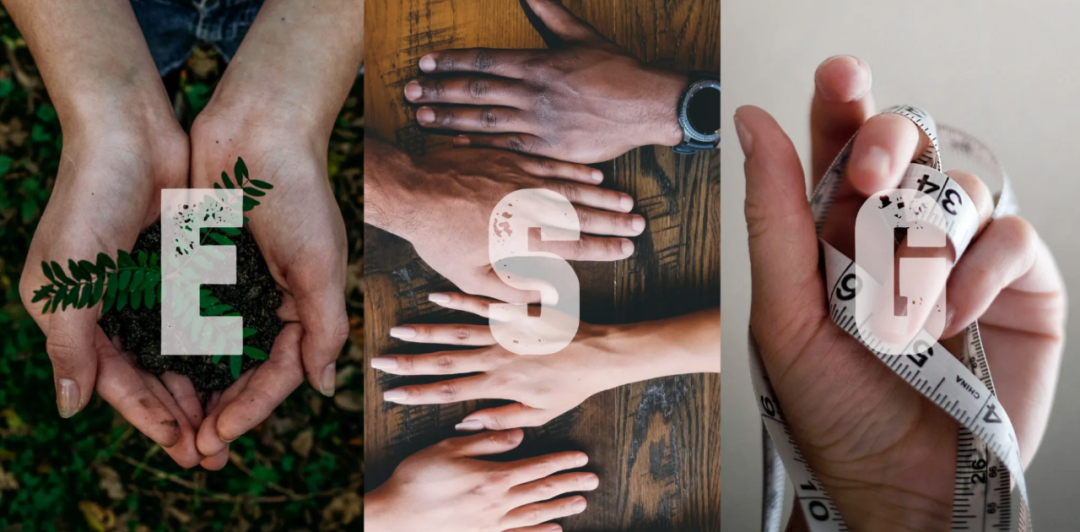 物聯網+5G+區塊鏈，讓碳中和成為一個生態游戲「物女心經」